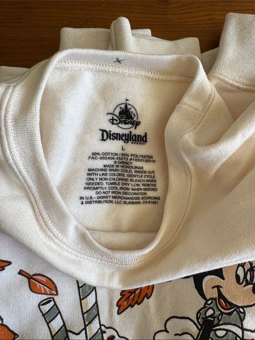 Disney Disneyland Resort Pumpkin Spice & Everything Nice Crewneck Sweatshirt - Picture 9 of 16